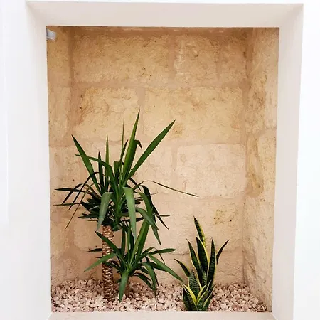 Hotel Waki Conscious 3*