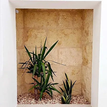 Hotel Waki Conscious Ciutadella (Menorca)